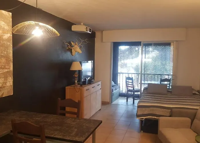 Apartment A Proche De La Et Des Commerces *